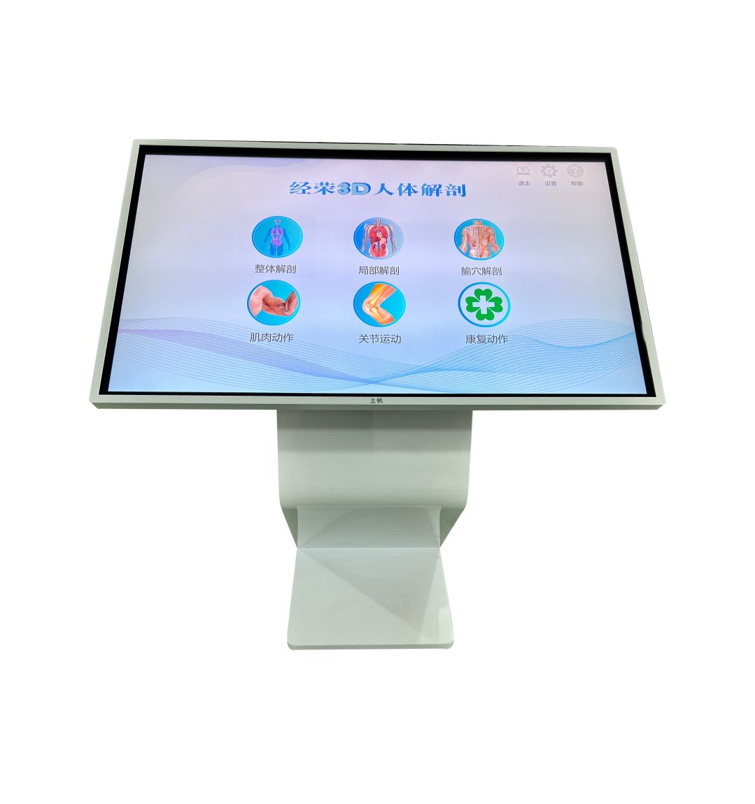 3D人體解剖.jpg 3D人體解剖.jpg