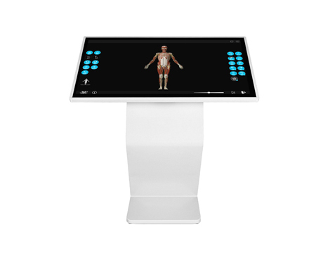 中醫(yī)3D經(jīng)絡(luò)穴位解剖平臺(tái)
